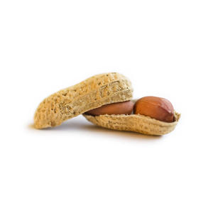 Cacahuetes Jumbo Secos Crudos al por Mayor de Alta Calidad en Empaque a Granel, Pelados a Máquina, Sin Pelar - Product Image 3