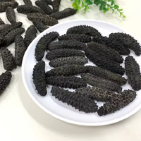Concombre de mer séché récolté en eaux naturelles, emballé sous vide, nutritif, sans graisses trans, en stock dès maintenant pour commandes immédiates