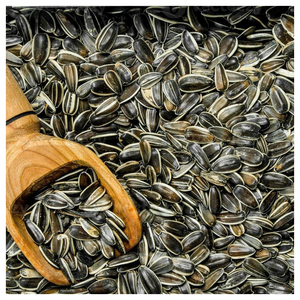 เมล็ดทานตะวันลายทางสีดำ361ธรรมชาติ601บริษัท100% - Product Image 4