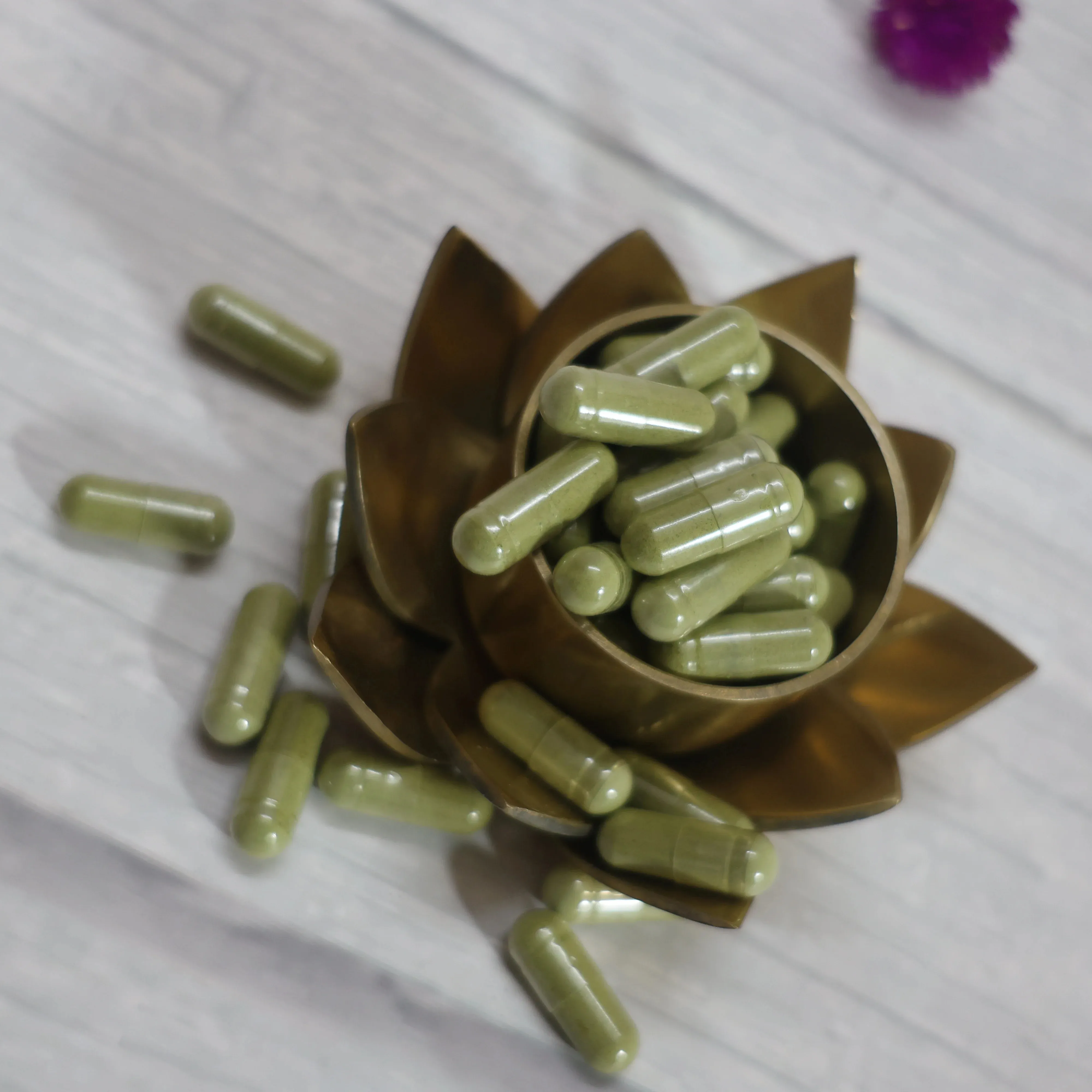 Capsules de Moringa utilisées comme supplément à base de plantes pour adultes riches en vitamines et minéraux