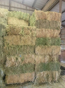 Heno de Alfalfa para Ganado Bovino, Alto Contenido de Fibra (30-40% NDF) para la Salud del Rumen y un Aumento de Peso Estable, Pedido al por Mayor - Product Image 3