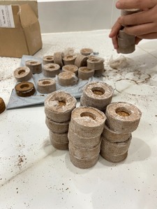 เม็ดมะพร้าวอัดเม็ดสำหรับปลูก - Product Image 4