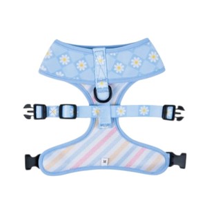 Harnais pour chien réglable à motif floral bleu clair, fermeture à boucle, style mignon pour petits chiens - Product Image 3
