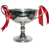 Trophée sportif moderne classique en métal argenté de haute qualité, gravé au laser, durable, avec logo personnalisé pour compétition, école, université