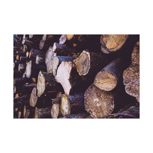 Bois de chauffage de bois dur sec en vrac de 30kg à vendre comprenant des grumes de chêne frêne et de hêtre - Product Image 6