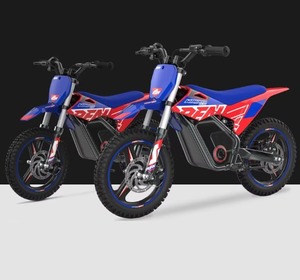 VENTA CALIENTE RFNs Warrior Kids SX-E250 Motocicleta Eléctrica Todoterreno, Motocicletas Eléctricas Duraderas y Fáciles de Conducir - Product Image 1