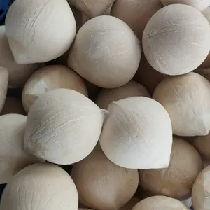 Свежий кокосовый экспорт OEM поддержка сиамский кокосовый лысый высококачественный изготовленный на заказ свежий кокосы Вьетнам