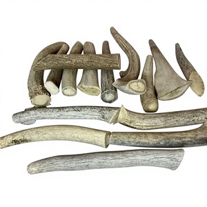 เขากวางแดงขายส่ง - Product Image 1