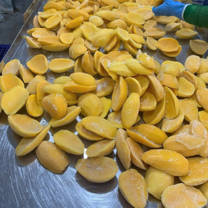 Premium Chewy Vietnam Dried Mango Using Mango Material For Quick Snack Eating And <b>Fruit</b> Dessert Assembly - Product Image 1