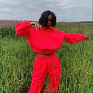 Ensemble de survêtement deux pièces pour femmes, sweat-shirt à capuche personnalisé, pantalon de survêtement de couleur vierge, sweat à capuche unisexe ample surdimensionné - Product Image 5