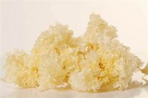 คอลลาเจนธรรมชาติแบบมีเชื้อราสีขาวแห้งแบบพรีเมี่ยมฉลากที่อุดมไปด้วยน้ำสะอาดส่วนผสมสำหรับการสนับสนุนภูมิคุ้มกันและให้ความชุ่มชื้นกับผิว - Product Image 6