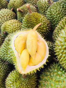 VDELTA Premium Frozen Durian Aril | Exportación DE FÁBRICA DE Vietnam a granel Pulpa madura Batido Postre Uso - Product Image 3