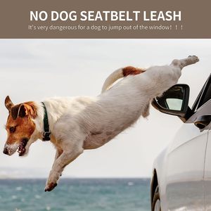 2 in 1 verstellbare elastische Bungee-Rückhaltes chnur Hund Auto Sicherheits gurt Leinen geschirr sichert 360-Grad-Drehgelenk an Kopfstütze für Auto - Product Image 2