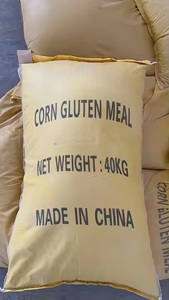 Harina de Gluten de Maíz en Bolsas de 50 kg, Alimento para Animales a Granel, Alta Calidad, Ingrediente con 60% de Proteína - Product Image 2