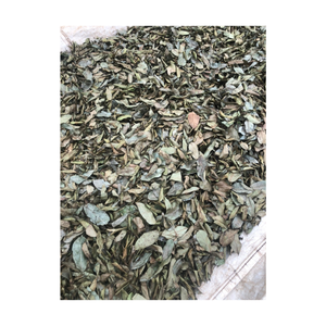 ใบกระพรุนอบแห้ง/ใบกราวิโอลา/ใบหญ้าขายส่งคุณภาพสูงจากเวียดนาม - Product Image 1