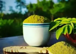 Poudre d'extrait de feuille de Moringa 100% pure, poudre fine verte, stockage à froid, durée de conservation de 12 mois, exportation du Vietnam - Product Image 3