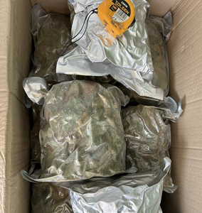 Hojas de Guanábana secas al sol puras para infusiones de hierbas frías y calientes cuidadosamente obtenidas de Vietnam - Product Image 4