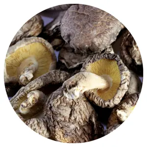 Heerlijke Biologische Gedroogde Shiitake-Paddenstoelen/Gedehydrateerde Shiitake-Paddenstoel Van Vietnam - Ms.Shyn Tran 84382089109