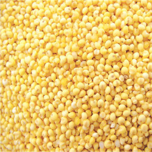 ขายส่งอาหารนกแบบกำหนดเองได้ เมล็ดข้าวฟ่างเหลือง เมล็ดข้าวฟ่างไทย - Product Image 6