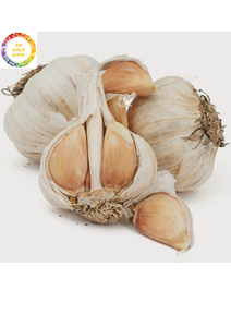 Bulbes d'ail blanc vietnamien avec une texture ferme et une longue durée de conservation à partir de 99 données d'or de haute qualité - Product Image 5