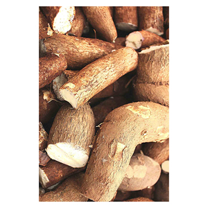 Alta Calidad Mejor Precio Maíz o Tapioca Fuente Almidón modificado Gelatinizar en agua caliente o fría - Product Image 3