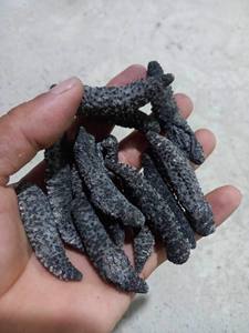 แตงกวาทะเลแบบแห้งเกรดส่งออก2024เวียดนาม - Product Image 3