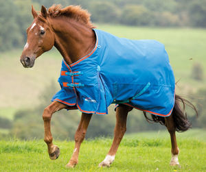 Couverture d'équitation pour cheval en polycoton 600D léger et luxueux, imperméable, respirante, chaude pour l'hiver, personnalisable pour cheval - Product Image 4