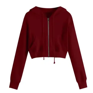Sweatshirt à capuche unisexe en molleton de coton épais Vente en gros Pull-over décontracté Sweat-shirt avec logo brodé pour l'hiver - Product Image 5