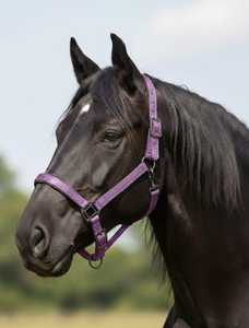 Rub International Leather Horse <b>Halter</b> with Reflective Sparkle Glitter | English Saddle Style Rope <b>Halter</b> | High-Density Webbing - Product Image 3