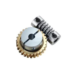Top Quality Worm Gears Brass Stainless Steel Worm gear set suppliers for speed reducer At Best Price