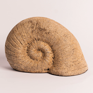 Mini Olla de Cerámica Keong - Product Image 1