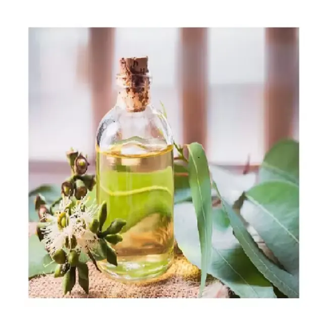 100% saf doğal organik okaliptüs yağı aromaterapi parfüm koku yapma için uçucu yağ Set