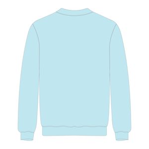 Sweat-shirt à manches raglan bleu ciel pour étudiants des HBCU, broderie en chenille, sororité grecque Divine Nine, fierté universitaire, logo personnalisé - Product Image 3