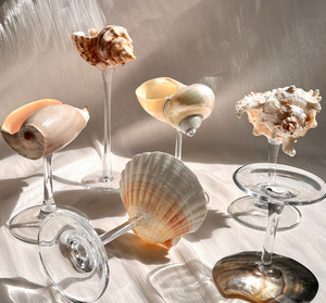 Coupe à vin en verre coquillage élégante, verrerie décorative artisanale pour la mise en scène de table de luxe, décoration de la maison et collection de cadeaux - Product Image 3