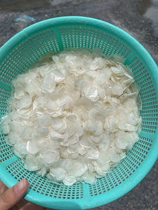 Écailles de poisson séchées du Vietnam, haute qualité, en gros, nettoyées, source naturelle pour engrais et aliments, 20kg/carton, meilleur prix abordable - Product Image 6