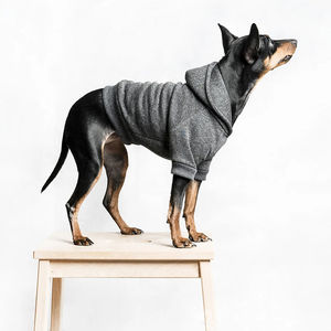 Vêtements pour chiens en gros, couleur unie, sweats à capuche de luxe personnalisés, légers, différents styles, sweats à capuche pour chiens professionnels - Product Image 1
