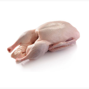 Obral daging bebek beku/segar kualitas tinggi