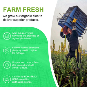 MINGYAN saf organik <span class=keywords><strong>Aloe</strong></span> <span class=keywords><strong>Vera</strong></span> özü kapsülleri-bağırsak ve bağışıklık desteği için 130,000mg eşdeğer sindirim sağlık takviyesi - Product Image 5