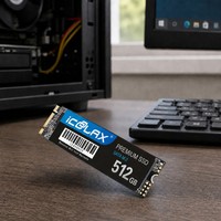 SSD M.2 SATA 512 Go NGFF 2280 Interne SATA III 6 Gbit/s pour Ordinateur Portable et de Bureau (Amélioration)