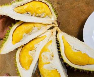 Durian biologique congelé de haute qualité Vietnam nouvelle culture goût sucré meilleur prix processus IQF pâte entière morceau carton en vrac disponible - Product Image 5