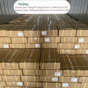 Pulpa de Papaya Congelada a Granel para Fabricantes, Textura Suave y Etiqueta Limpia - Product Image 3