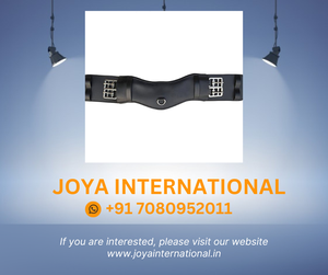 Ropa de caballo de cuero, faja - Product Image 2