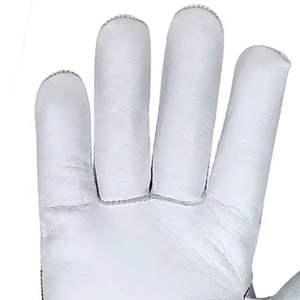 Guantes de piel de cabra de primera calidad con pulgar y dedos reforzados - Product Image 5