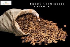 Chebula Terminalia chebula สีเหลืองสินค้าเกษตรเกรดพรีเมี่ยมอายุ2ปีจากมหาราษฏระอินเดีย - Product Image 2