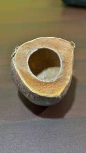 Top Selling Coconut <b>Water</b> Container Cover With Coco Husk With Shell Use For Terrarium Dogs Cats Sri Lanka Manufacture Export Eco - Product Image 3