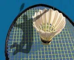 Volant Pluma X design logo personnalisé professionnel - Product Image 6