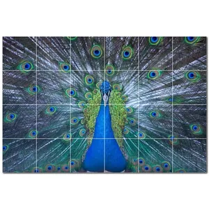 Mural de pared de azulejos de cerámica de pájaro PT500189 36 \ "W X 24 \" H Juego de 24 azulejos de cerámica 6x6 - Product Image 1