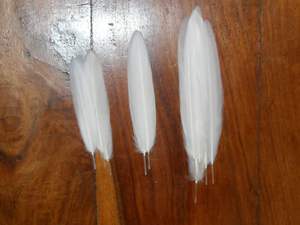 Plumas de pato teñidas para accesorios de moda para pendientes Diademas Adornos de disfraces - Product Image 4