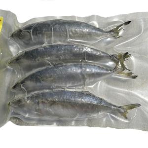 ปลาแมคเคอเรลอินเดียแช่แข็งคุณภาพส่งออก แบบทั้งตัว - Product Image 3