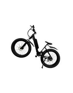 Oferta de Venta: Bicicleta Eléctrica de Montaña Aries E MTB de Alta Velocidad - Product Image 4
